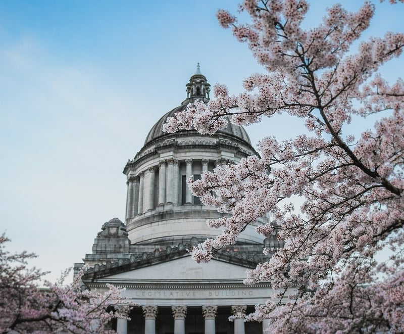 Public policy Seattle