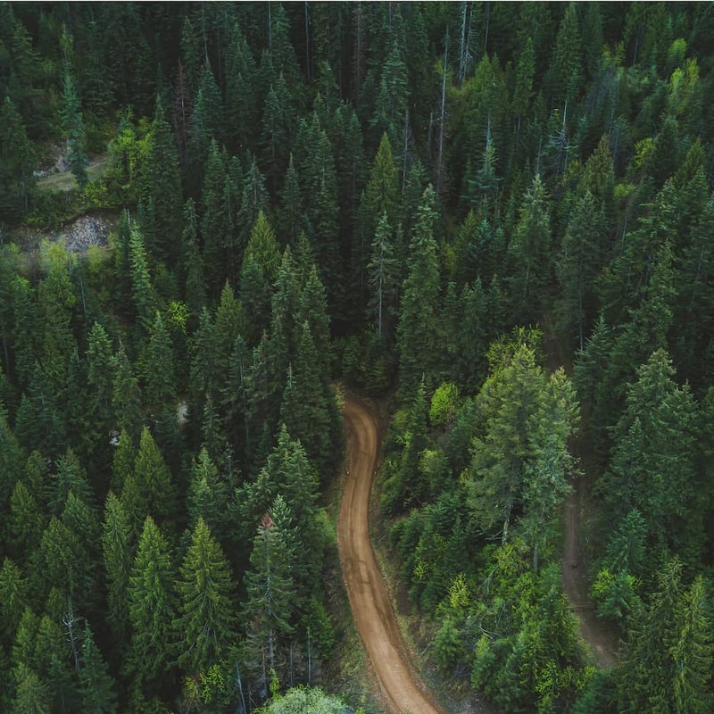 why-the-pacific-northwest