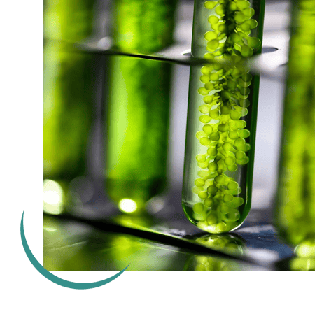 research-and-development