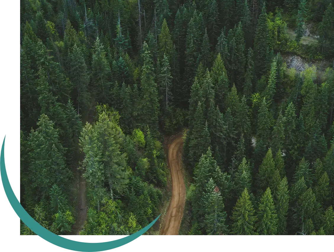 PNW Forest Why PNW-Web